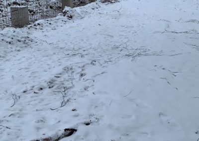 работа в Латвии